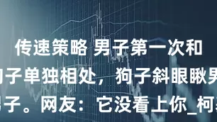 传速策略 男子第一次和女朋友的狗子单独相处，狗子斜眼瞅男子。网友：它没看上你_柯基_那小_招谁